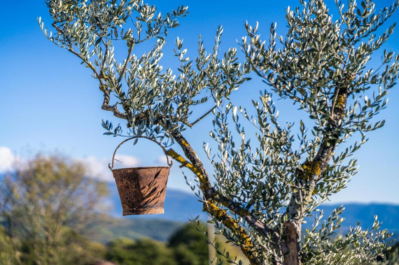Gite "La Sainte-Croix", Traditional Provencal House For 8 People, Private Swimming-Pool, Air-Conditioner, Beautiful Scenery ヴェゾン・ラ・ロメーヌ エクステリア 写真