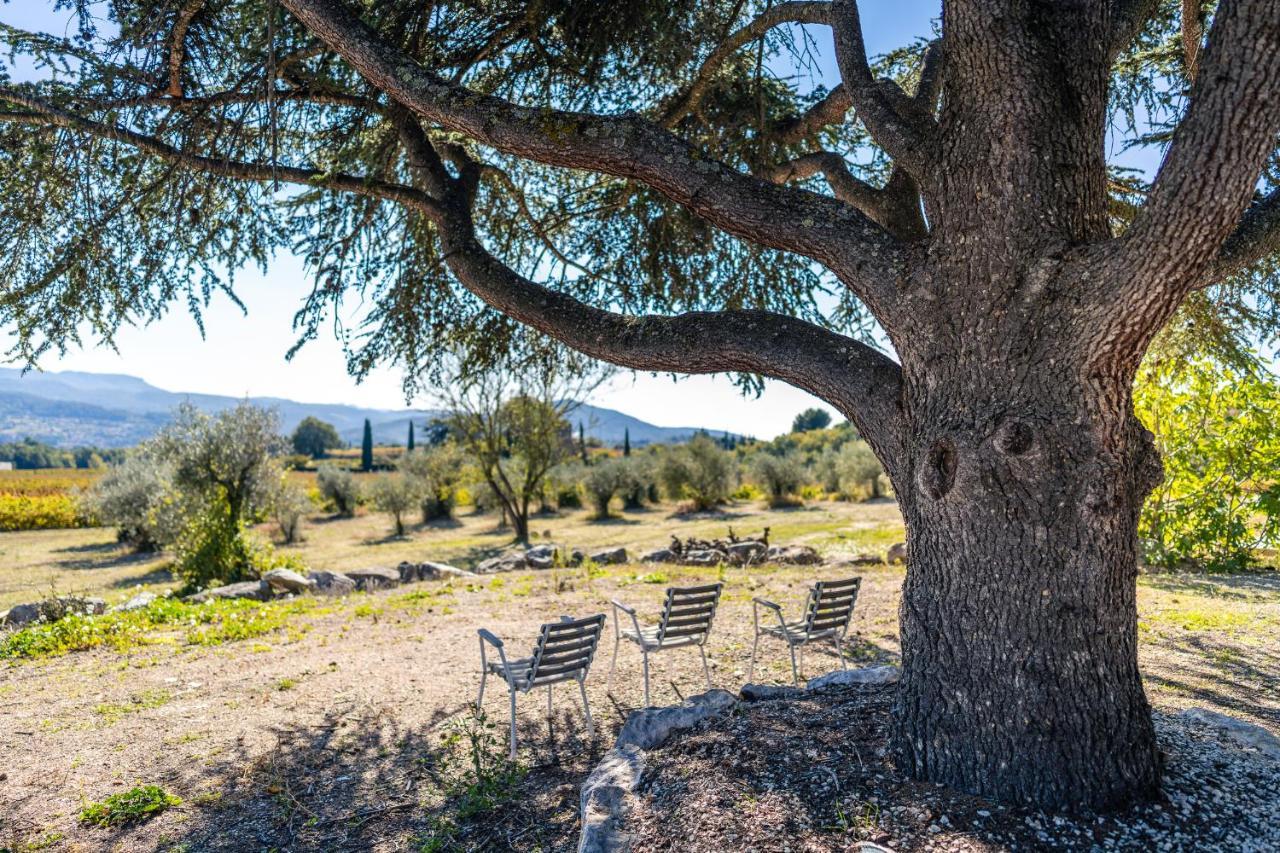 Gite "La Sainte-Croix", Traditional Provencal House For 8 People, Private Swimming-Pool, Air-Conditioner, Beautiful Scenery ヴェゾン・ラ・ロメーヌ エクステリア 写真