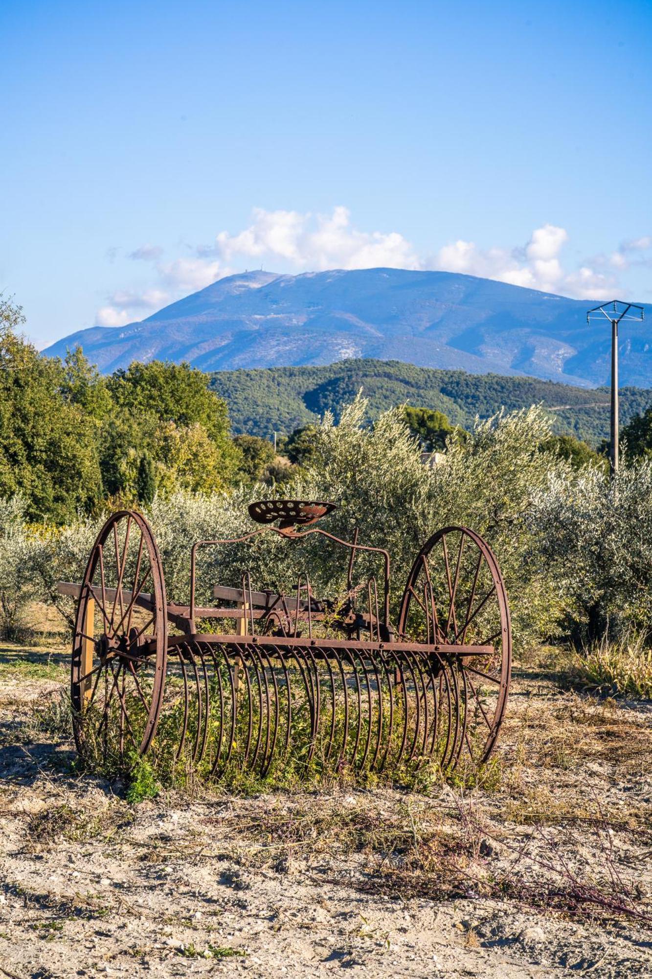 Gite "La Sainte-Croix", Traditional Provencal House For 8 People, Private Swimming-Pool, Air-Conditioner, Beautiful Scenery ヴェゾン・ラ・ロメーヌ エクステリア 写真